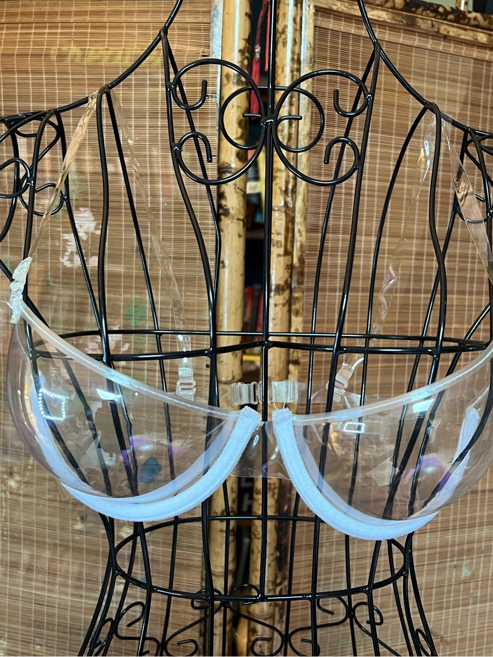 Clear Transparent Support Bra with Transparent Straps